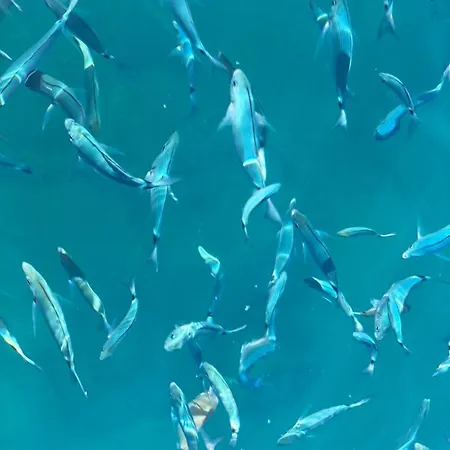 Lägenhet Xabiadecision